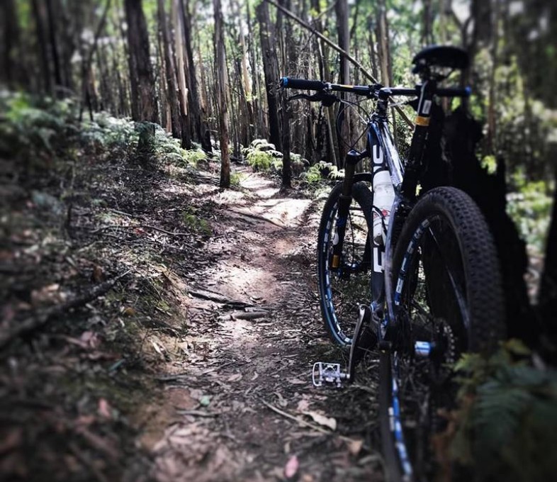 MOUNTAIN BIKING